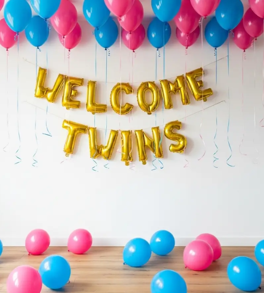 welcome twins